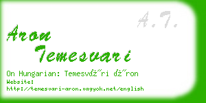 aron temesvari business card